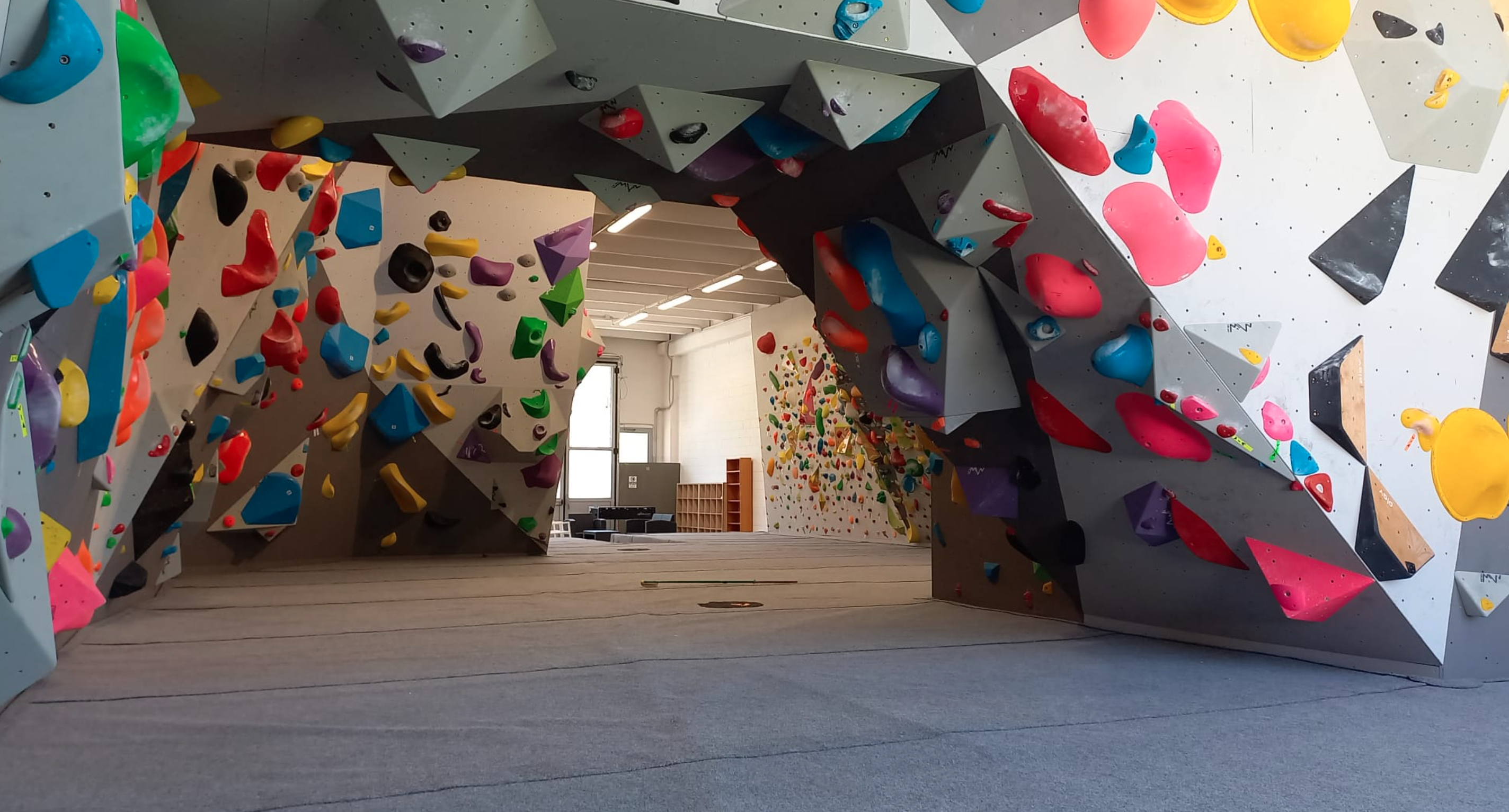 Palestra Libera